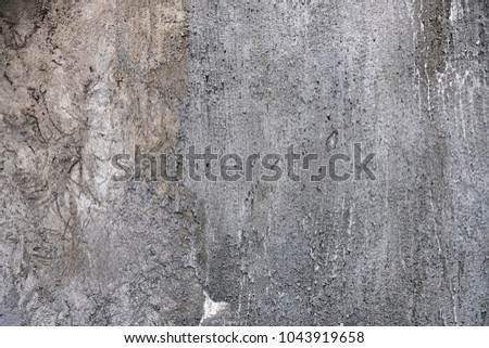Cement wall background                              