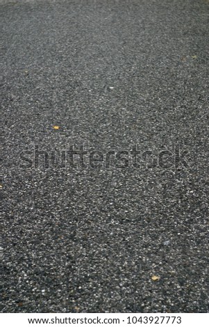  road. Summer and autumn background  