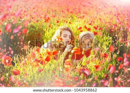 Flowers in meadow, red poppy flower