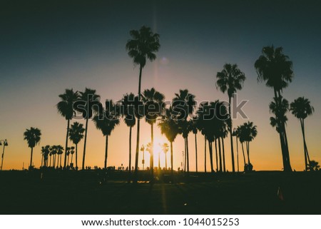 Venice Beach Sunset, Los Angeles California
