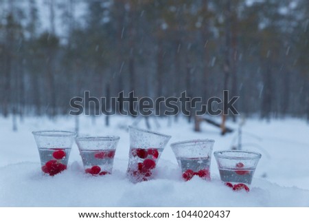 drinking vodka with cranberries on the swamp