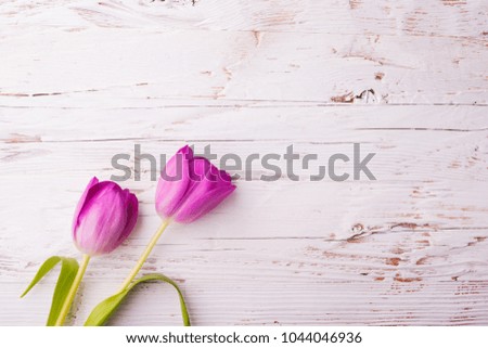 Easter and spring flat lay on a white wooden background.
