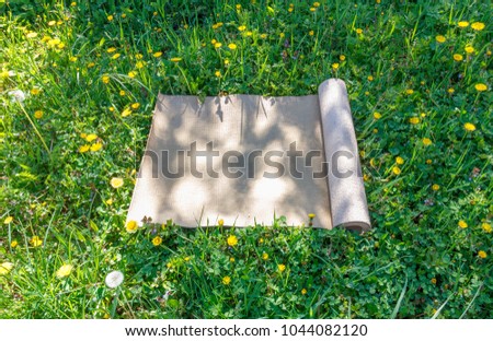 tourist rug on a glade with green grass on a warm, sunny summer day
