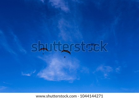 Paragliding above beach. Paragliders fly over the sea
