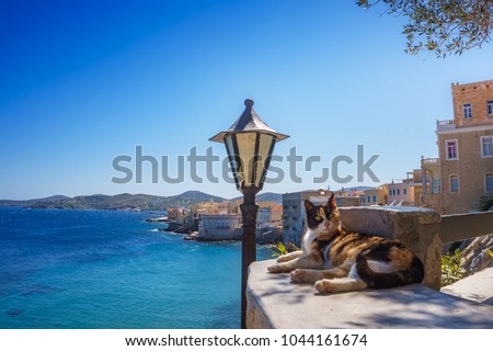 Scenic view with street cats in the narrow streets of Ermoupolis, Syros island, Greece, Europe.