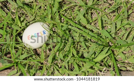 The white egg was wrote with colorful word. The word is Easter. It is on the fresh green grass in the afternoon with sunlight. The picture concepts for hidden, bunny, rabbit, find, eggs.