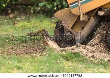 Stump grinder in action
 Royalty-Free Stock Photo #1044187762