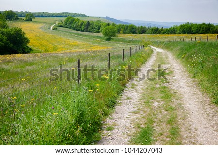 South Downs Way, a  long distance footpath and bridleway along the South Downs hills in Sussex, Southern England, UK Royalty-Free Stock Photo #1044207043