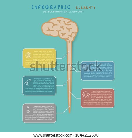 Brain infographic elements with developement and growth skill concept. 