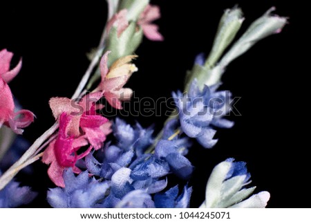 Artificial blue cornflower closeup, isolated on a black background