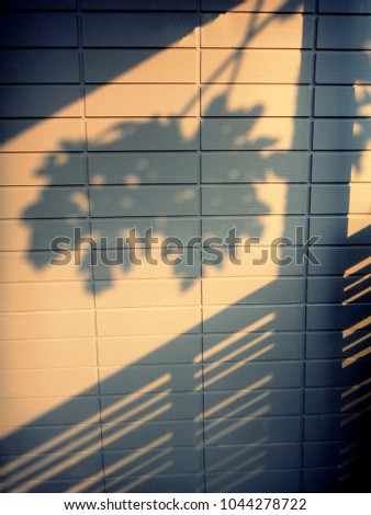 Shadow on the wall                             