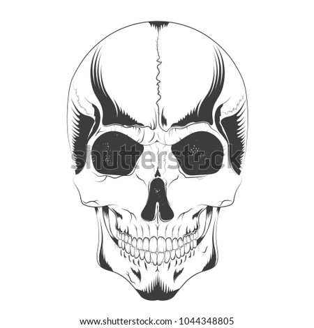 vector illustration of a human skull sketch in Gothic style. design t-shirts, covers, posters, tattoos and others