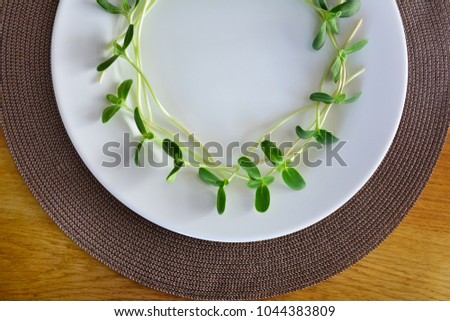 circle of green sunflower sprouts served on a white plate