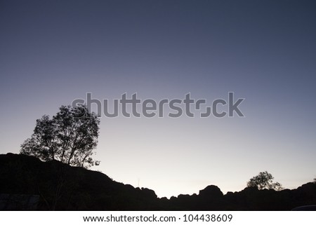 night sunrise landscape with the trees silhouette