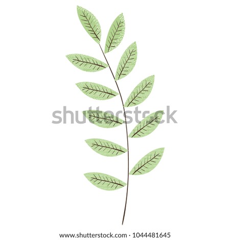 tropical leaf palm icon