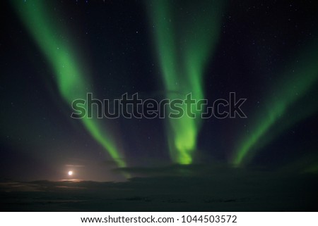 Aurora borealis lights at night in white snow tundra, Russia, North. Beautiful arctic polar landscape of green lightning  lines, clouds and moon sky with stars, nature miracle, fantastic view