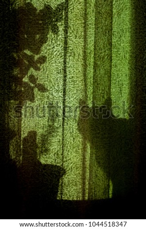 Abstract background with cat and flower shadow.Green curtains.