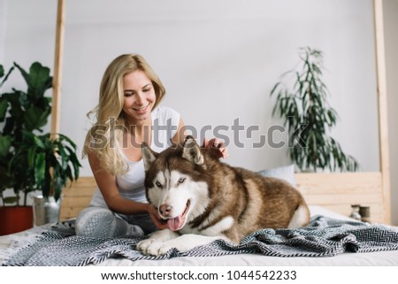 Female playing with husky. Cute curly hair woman and adorable dog posing for pictures . Model sitting on the bed at cozy home. Perfect apartments for happy living. Successful lifestyle concept.  