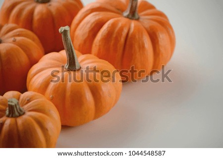 Pumpkin in a fall nest of corn and red berries. Happy Thanksgiving orange pumpkins background. 