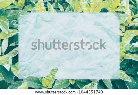 top view tropical leaves frame with text area copy space isolated on white background.green leaf with paper card.Blank screen for advertising card or invitation. Flat lay. Nature concept.