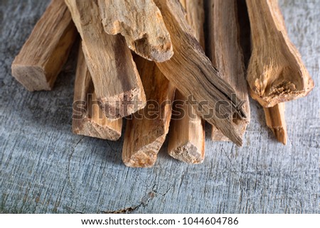 palo santo wood sticks closeup in Ecuador