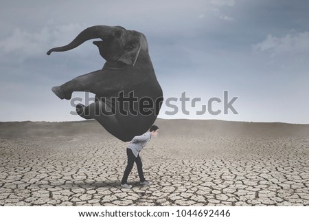 Picture of young businessman lifting an elephant while walking on the dry soil