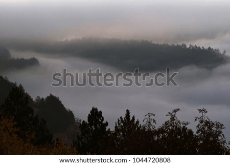 A foggy autumn weather at sunrise near Veliko Tarnovo, Bulgaria