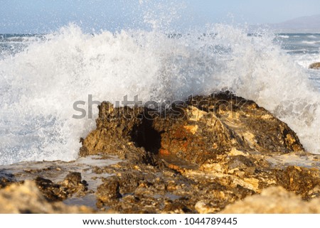 The rocky shore. Large spray from the waves