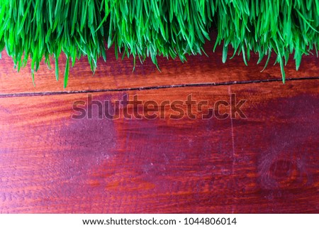 green grass on a wooden background.  Easter background
