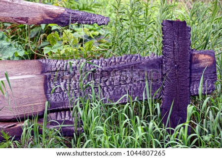 Burnt boards of a wooden fence in green grass and vegetation