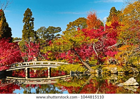 an Autumn foliage at the stone bridge in Eikando Temple, Kyoto, Japan