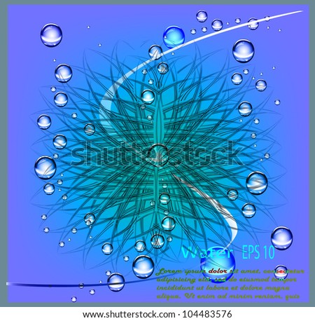 Set the Butterfly the Crown. A vector template of the poster, the text. Stylish bubbles, lines, a wave. Water. eps 10
