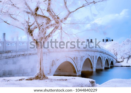 Infrared Photo of Tree and Bridge in a Park