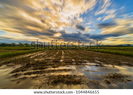 Long exposure landscape with clouds moving rice field and sunset.
