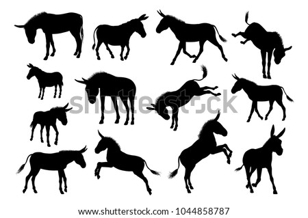 A set of detailed high quality donkey farm animal silhouettes  Royalty-Free Stock Photo #1044858787