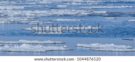 FLOE - sheets of ice on the sea