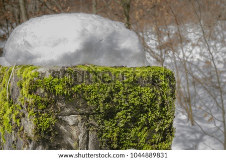 Brasov, Romania -March 11.03, 2018: stone fence with lichens and snow