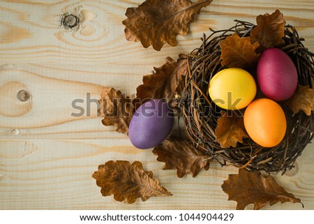 Colored Easter eggs in the nest