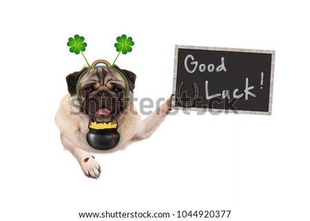 Talisman pug puppy dog, with shamrock clover, golden coins, lady bug and horse shoe for good luck and success, isolated on white background