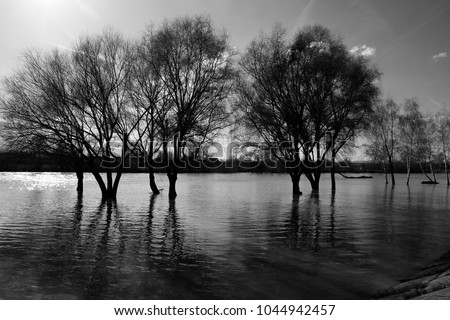 Natural disaster, flood on the river. black and white