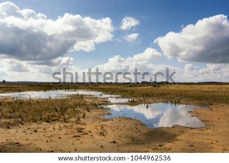 Typical flat dutch landscape with heather, water, reflections, clouds, blue sky, sand, horizon and space