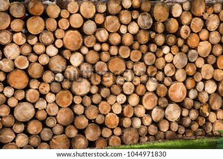 Tree trunks cut and stacked