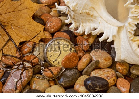 on the sea pebbles are pocketed tea and a variety of sea shells. Color photo