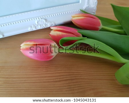 Pink tulips with white picture frame, Spring flowers, Home décor 