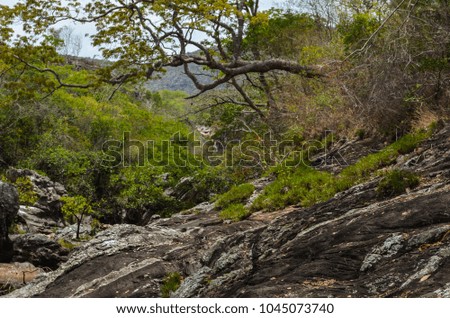 Beautiful river with rocks on the board between a tropical forest at a state park in Brazil