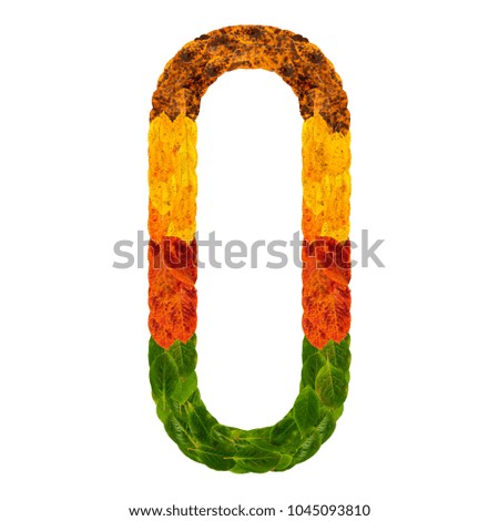 Autumn leaves bright number zero 0. Natural multi layers living leaves isolated on white background. Colorful character of alphabet letter font. Element nature for decoration, design of inscription.
