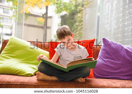 boy reading a book at home. the child engrossed in an interesting book