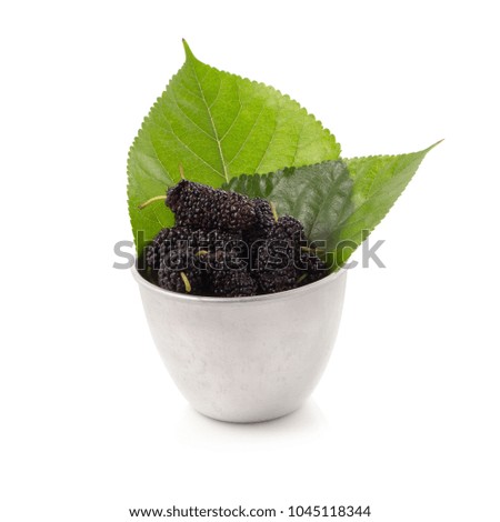 Mulberry fruit and Mulberry leaves, Mulberry isolated on white background.