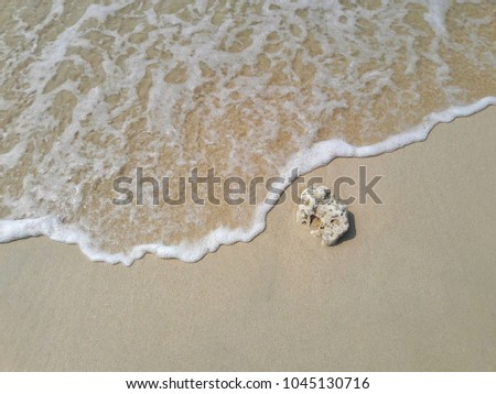 
Coral reefs on the beach,Waves in the sea