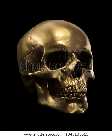 Gold human Skull Isolated on black Royalty-Free Stock Photo #1045133515